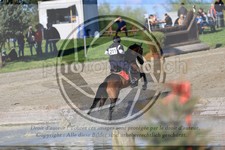 ref. photo 3574939
