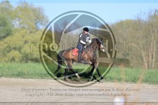 ref. photo 3574940