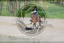 ref. photo 3574953