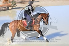 ref. photo 3574964
