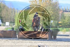 ref. photo 3575039