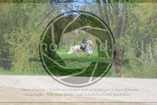 ref. photo 3575056