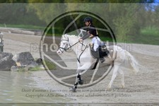 ref. photo 3575067