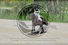 ref. photo 3575094