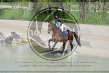 ref. photo 3575128