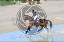 ref. photo 3575131