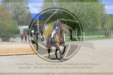 ref. photo 3575137
