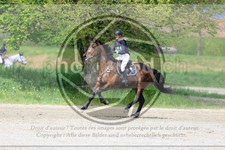 ref. photo 3575141