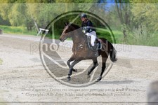 ref. photo 3575144