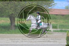 ref. photo 3575195