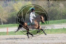 ref. photo 3575241