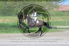 ref. photo 3575265