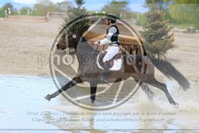 ref. photo 3575268