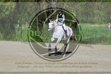 ref. photo 3575282