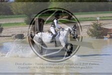 ref. photo 3575291
