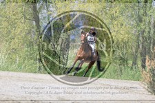 ref. photo 3575300