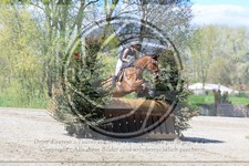 ref. photo 3575301
