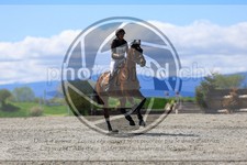 ref. photo 3575311