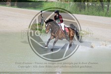 ref. photo 3575392