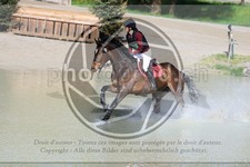 ref. photo 3575393