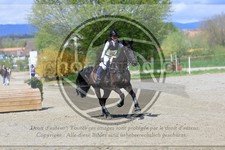 ref. photo 3575404