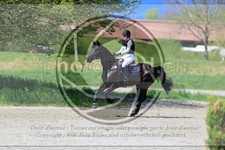 ref. photo 3575407