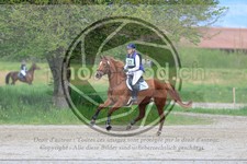 ref. photo 3575451