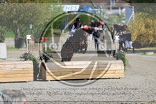 ref. photo 3575522
