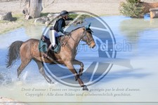 ref. photo 3575608