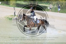 ref. photo 3575640