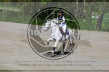 ref. photo 3575698