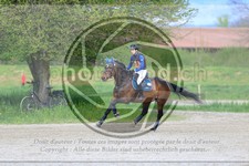 ref. photo 3575714