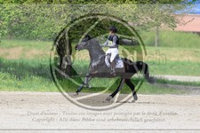 ref. photo 3575756