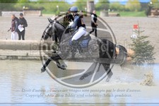 ref. photo 3575820