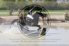 ref. photo 3575874