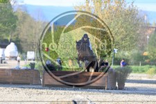ref. photo 3575957