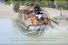 ref. photo 3575979