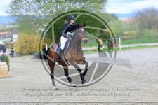 ref. photo 3576008