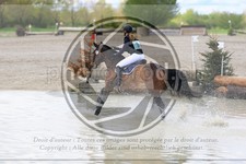 ref. photo 3576016