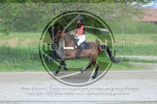 ref. photo 3576029