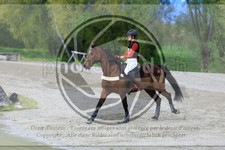 ref. photo 3576033