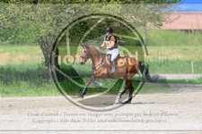 ref. photo 3576052