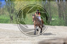 ref. photo 3576056