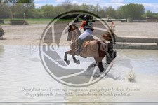 ref. photo 3576060