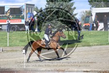 ref. photo 3576084