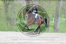 ref. photo 3576107