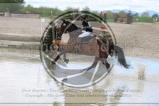 ref. photo 3576111