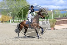 ref. photo 3576138