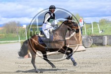 ref. photo 3576139