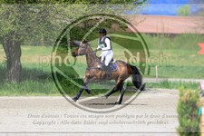 ref. photo 3576142